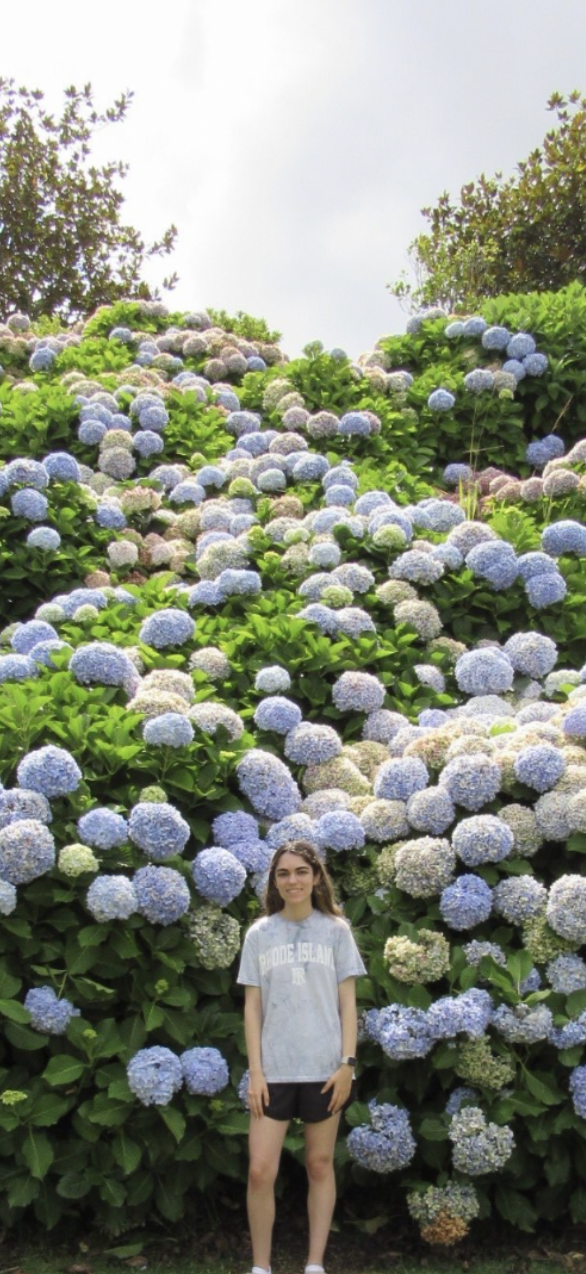 This is a figure that is located inside folder